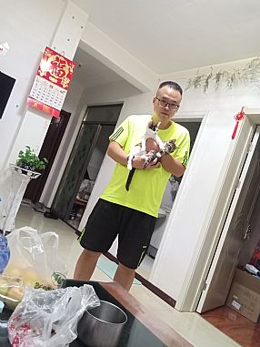 ������������ͷ