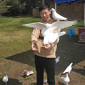 �人׷����